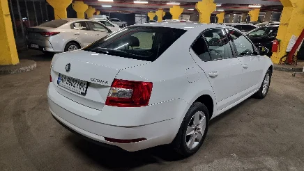 Skoda Octavia photo-5